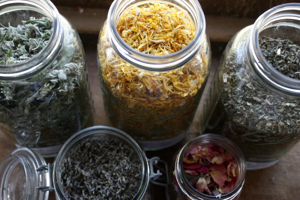 Calendula For Breast Cancer Complementary Therapy